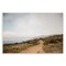 Stupell Industries Wild Coast Pathway Wall Plaque Art Design by Crystal Lynn Collins